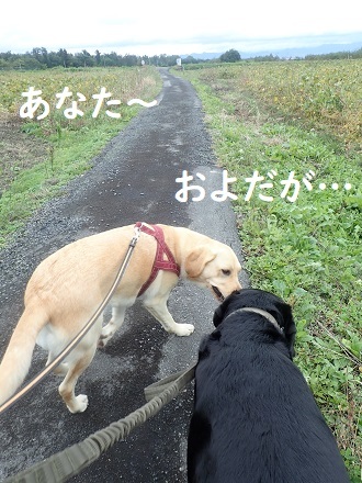激寒です!! o(>o<)o_c0182012_15541500.jpg