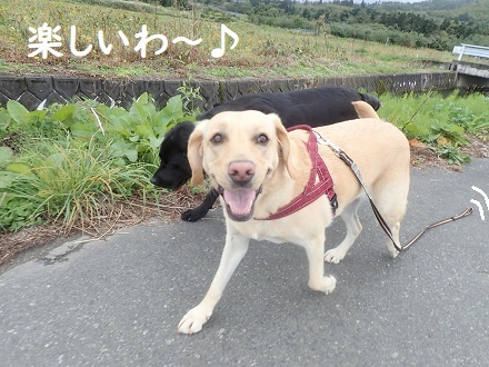 激寒です!! o(>o<)o_c0182012_15541763.jpg