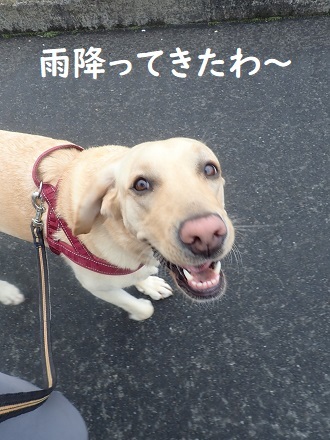 激寒です!! o(>o<)o_c0182012_15541943.jpg