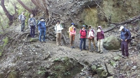 摩耶山_c0218841_20411709.jpg