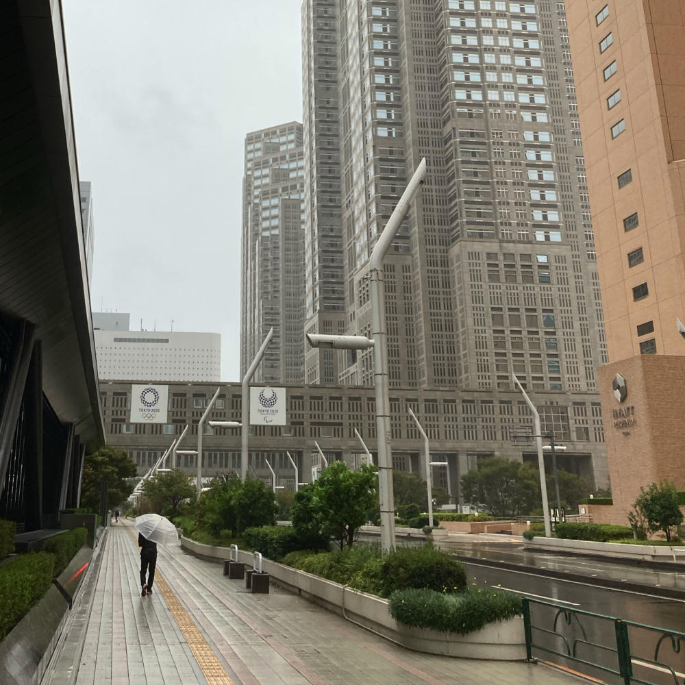 疑似東京マラソン、スタートとゴールだけ_c0060143_23143235.jpg