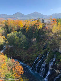 紅葉の白ひげの滝~10月の美瑛_d0340565_19354845.jpg
