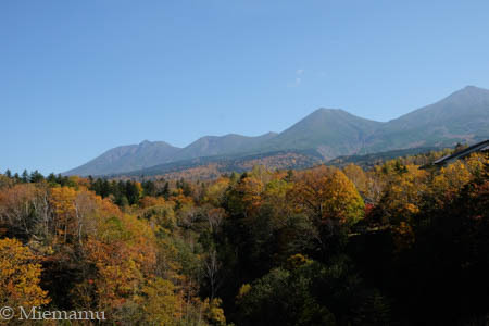 紅葉の白ひげの滝~10月の美瑛_d0340565_19361258.jpg
