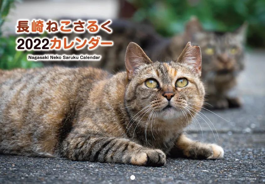 栄光はまゆに輝いた_c0193077_11443037.jpg