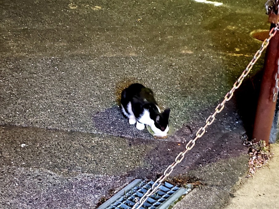 栄光はまゆに輝いた_c0193077_11443174.jpg