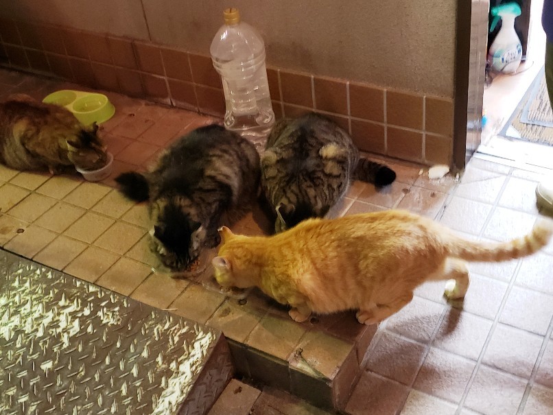 栄光はまゆに輝いた_c0193077_11443199.jpg
