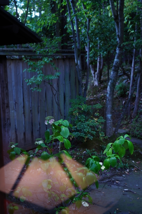 湯布院の御三家 山荘無量塔 さんそうむらた ミンミンゼミ