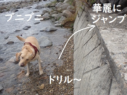 まだ川に入るの!? _c0182012_13161091.jpg