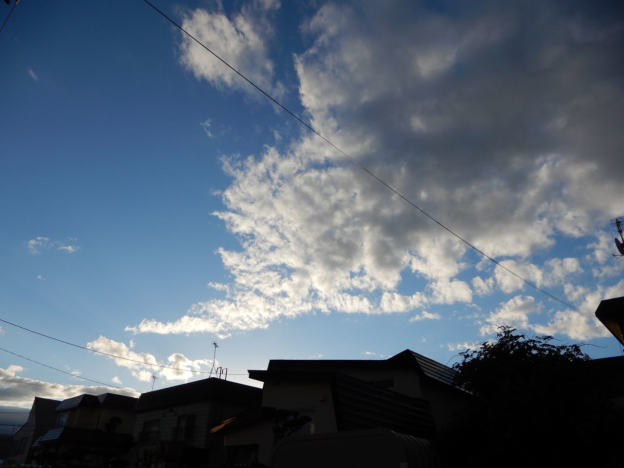 寒いながらも天候は回復_c0025115_21411036.jpg