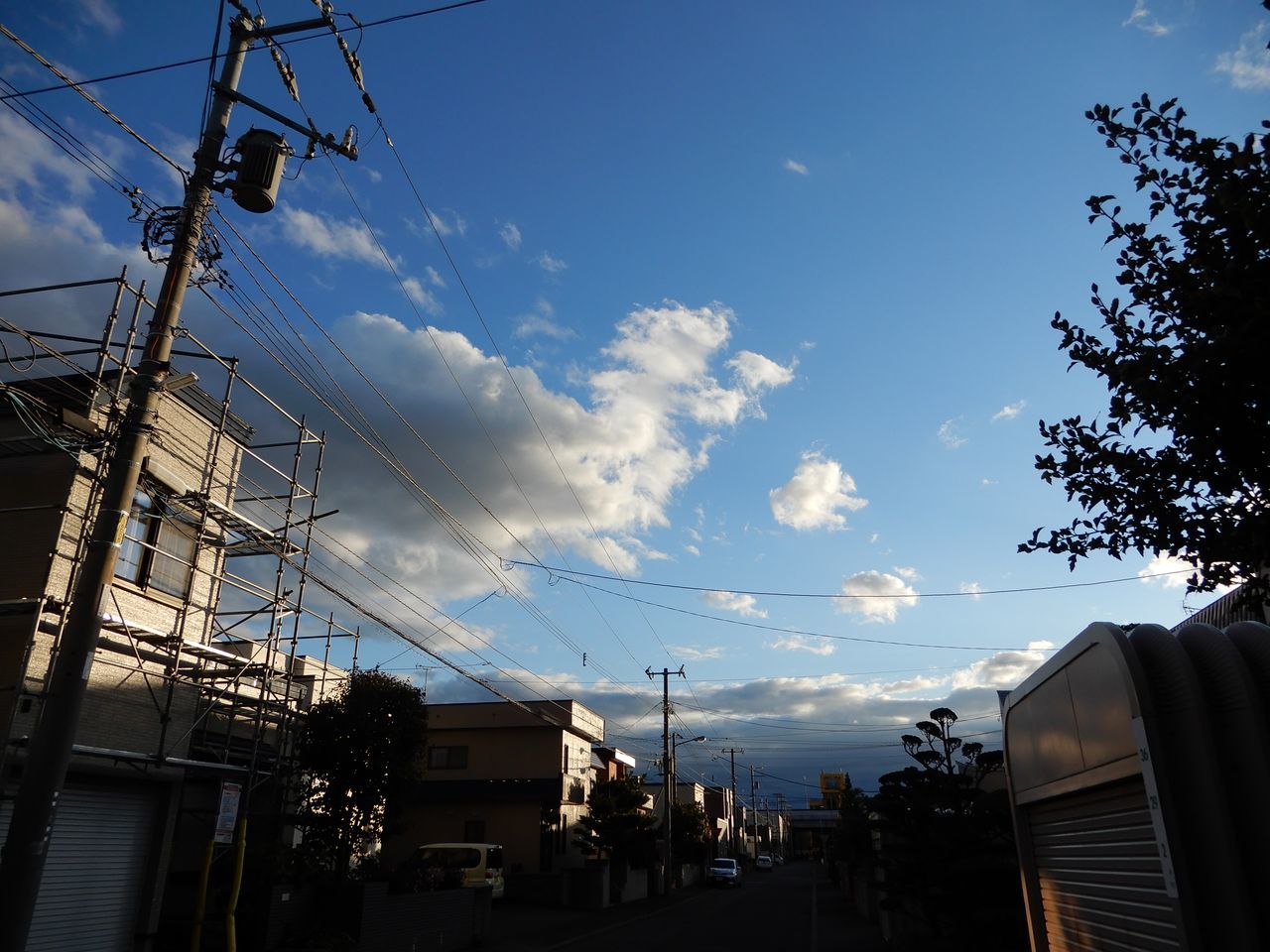 寒いながらも天候は回復_c0025115_21423072.jpg
