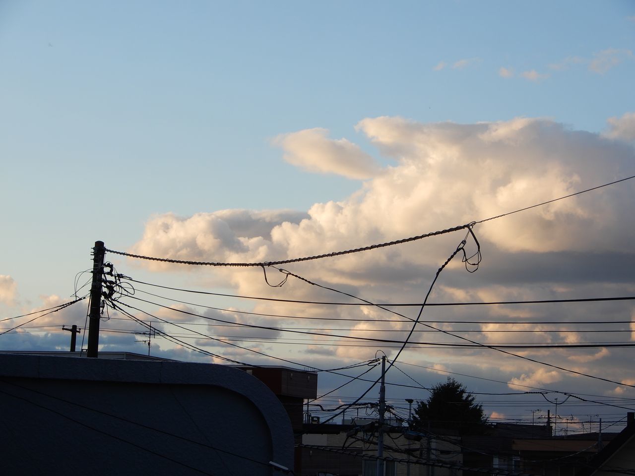 寒いながらも天候は回復_c0025115_21461499.jpg