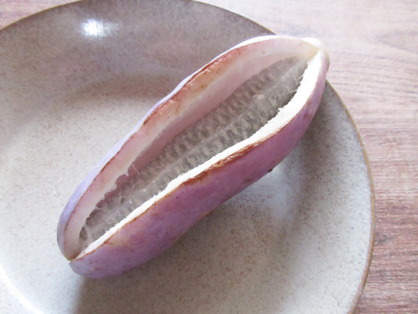 あけびを貰いました_c0152767_07243278.jpg
