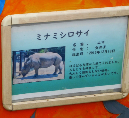 ごきげんよう 犀たち