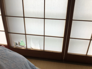 寒くなりました_f0363168_05473041.png