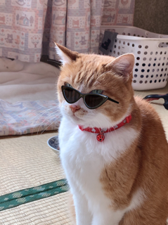 寒くなりました_f0363168_05550971.png