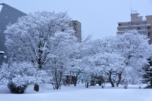 冬景色 7_f0143469_09332255.jpg