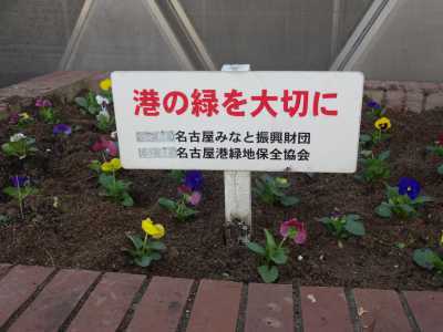 ガーデンふ頭総合案内所前花壇の植替えR3.10.11_d0338682_13060186.jpg