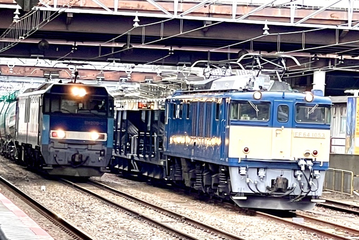 10/19＊ホキ800形廃車回送を八王子駅で見送った。_c0212604_20540333.jpeg