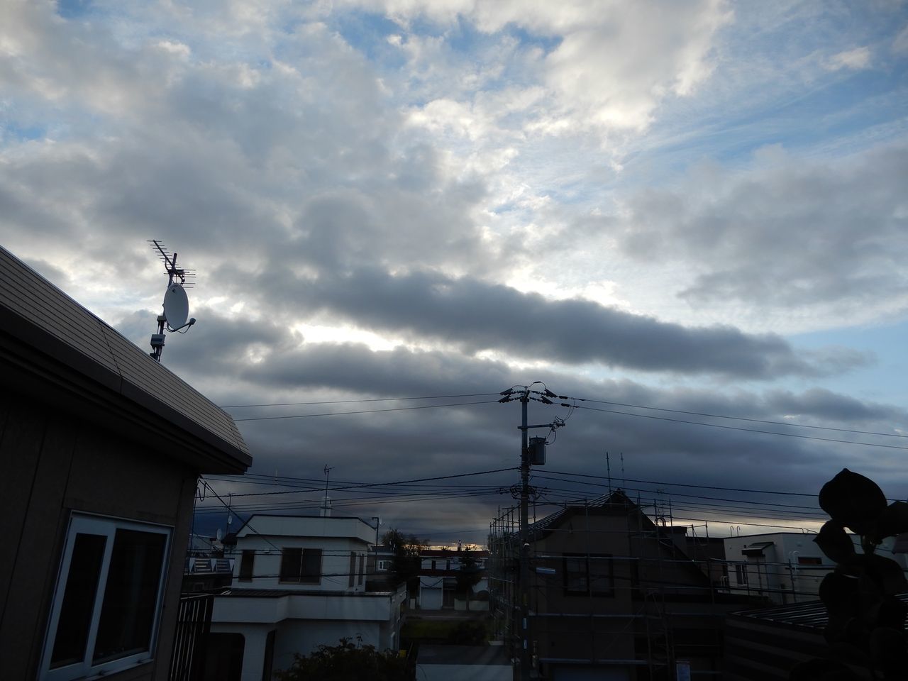 寒さは抜けて夕方から雨_c0025115_20192667.jpg