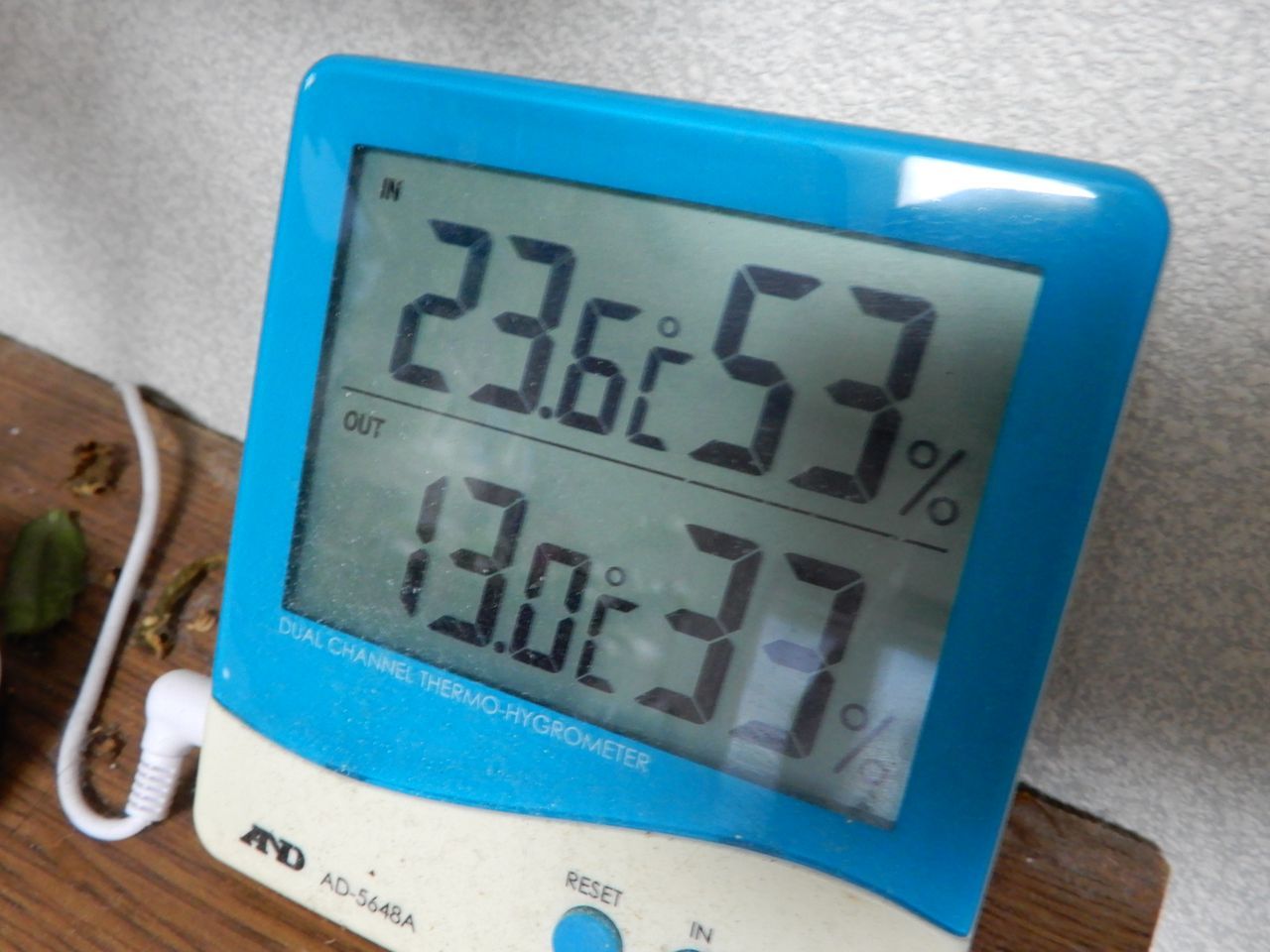 寒さは抜けて夕方から雨_c0025115_20245111.jpg