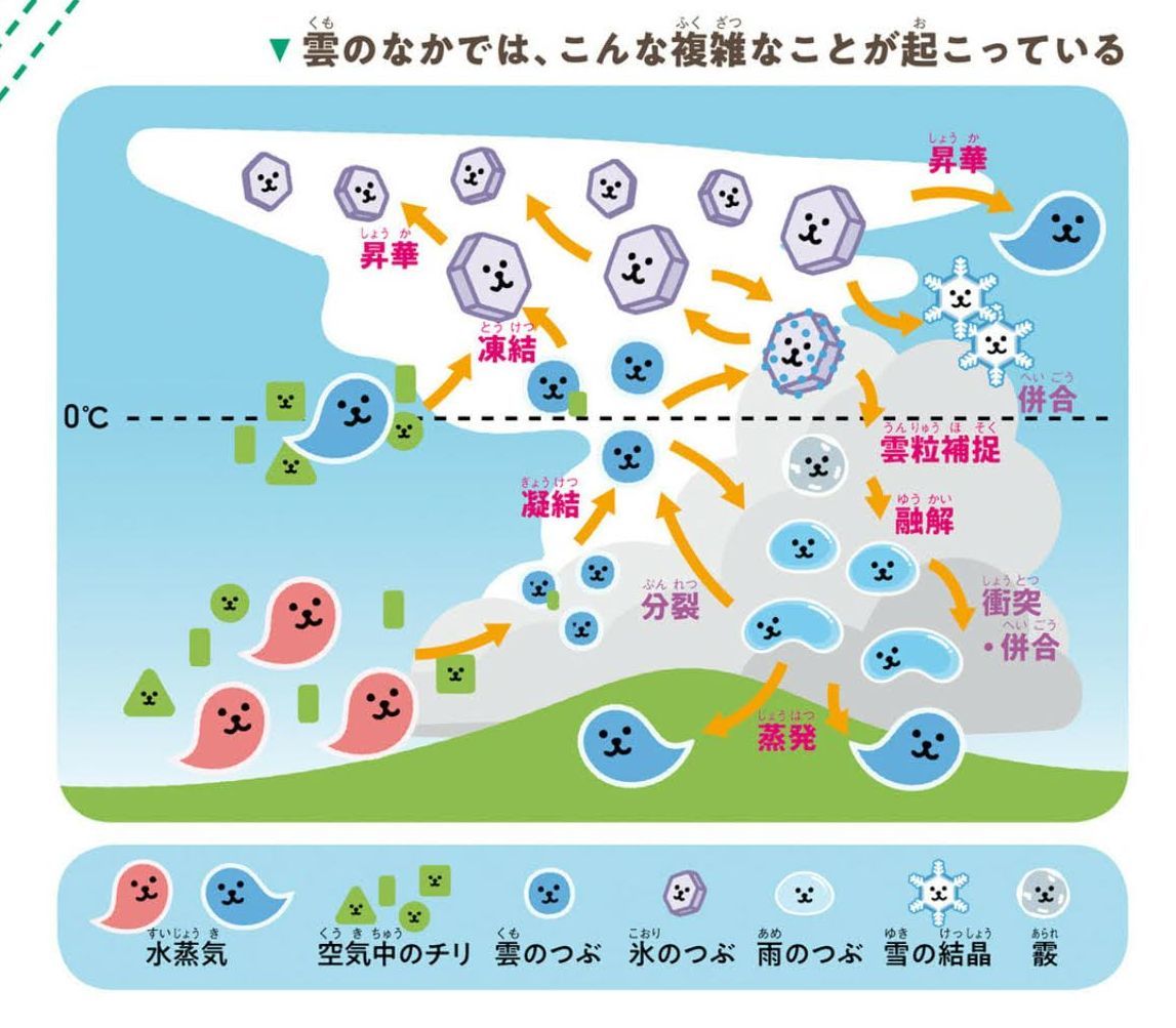 寒さは抜けて夕方から雨_c0025115_20253961.jpg