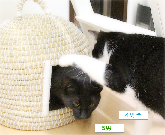お兄ちゃんのチカラ_a0389088_15280711.jpg