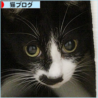 お兄ちゃんのチカラ_a0389088_15280853.jpg