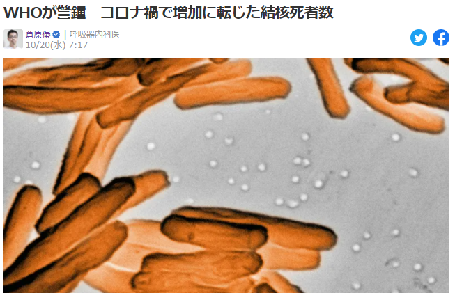 Global TB report 2021:WHOが警鐘 コロナ禍で増加に転じた結核死者数_e0156318_07285599.png