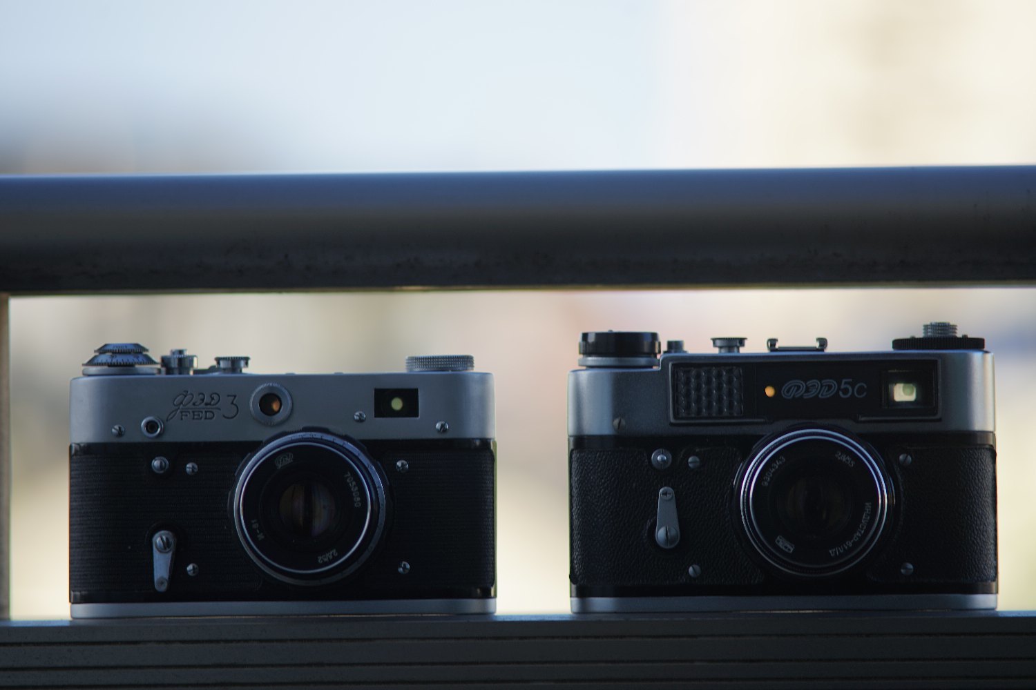 Nikkor-Q.C Auto 200mm F4 で スズメさん を_b0069128_08124780.jpg