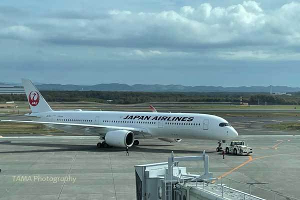 新千歳空港のさくらラウンジ 21名古屋 Tamaの卵
