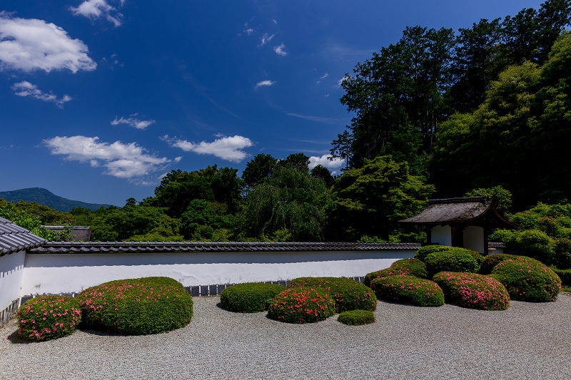 サツキ咲く獅子の児渡しの庭（正伝寺）_f0155048_22144307.jpg