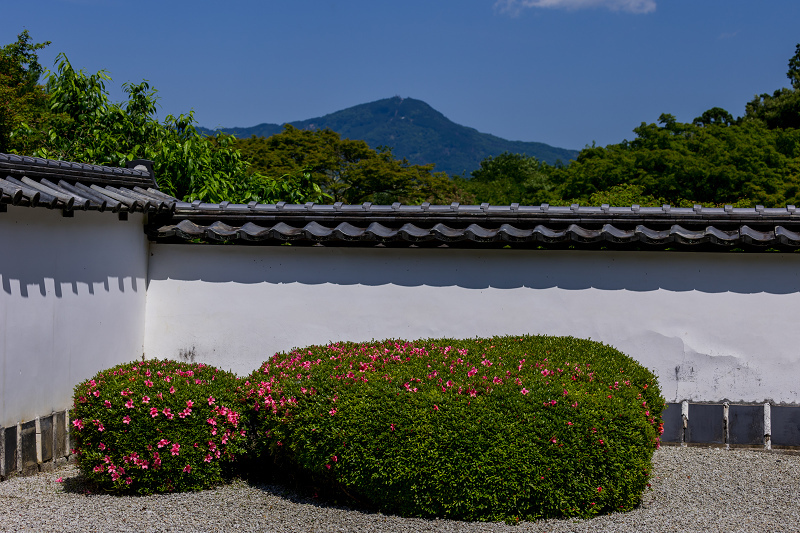 サツキ咲く獅子の児渡しの庭（正伝寺）_f0155048_22160173.jpg