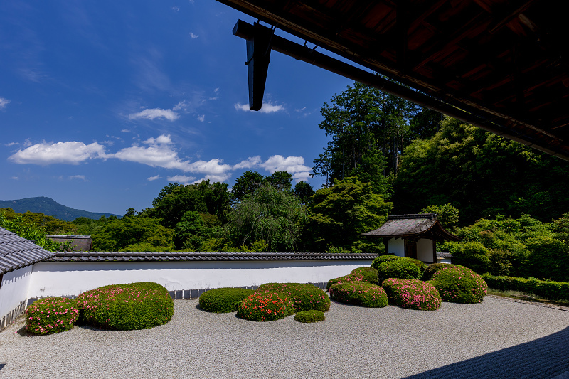 サツキ咲く獅子の児渡しの庭（正伝寺）_f0155048_22162534.jpg