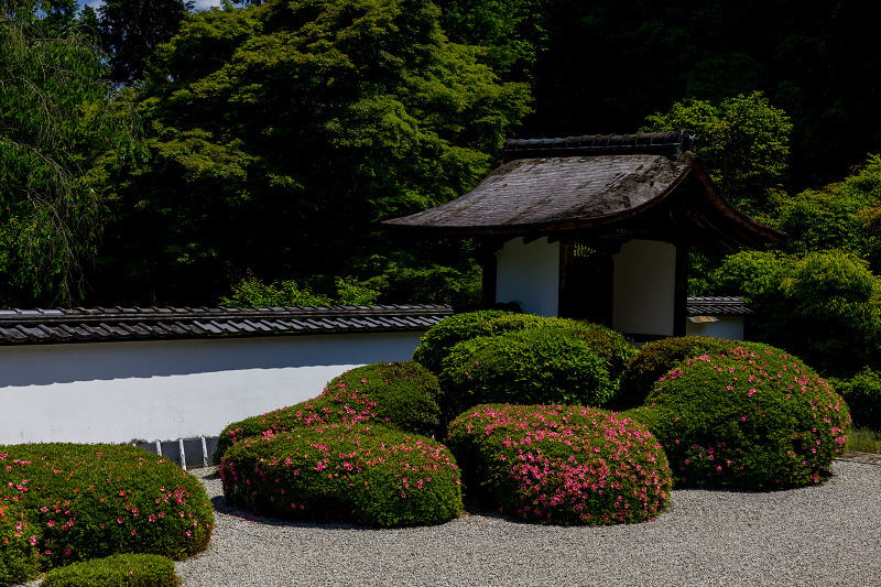 サツキ咲く獅子の児渡しの庭（正伝寺）_f0155048_22163734.jpg