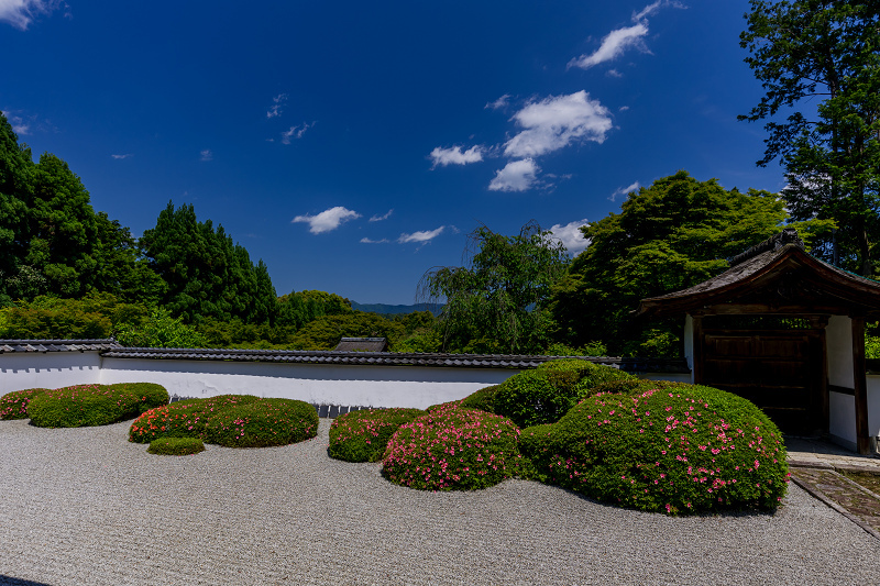 サツキ咲く獅子の児渡しの庭（正伝寺）_f0155048_22165463.jpg