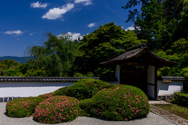 サツキ咲く獅子の児渡しの庭（正伝寺）_f0155048_22170073.jpg