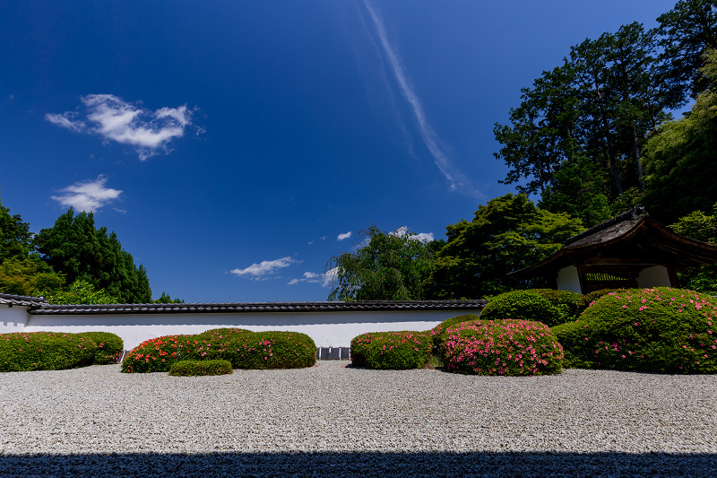 サツキ咲く獅子の児渡しの庭（正伝寺）_f0155048_22171805.jpg
