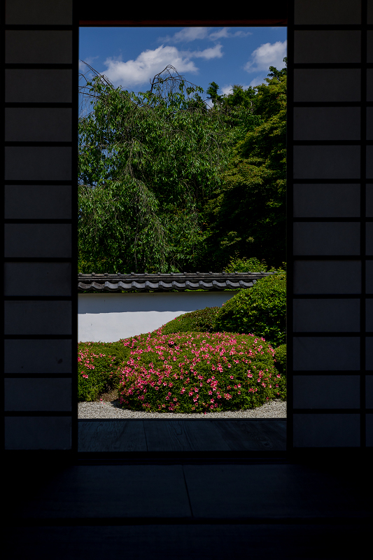 サツキ咲く獅子の児渡しの庭（正伝寺）_f0155048_22173708.jpg