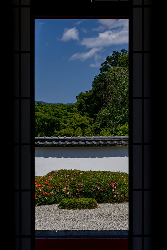 サツキ咲く獅子の児渡しの庭（正伝寺）_f0155048_22174875.jpg