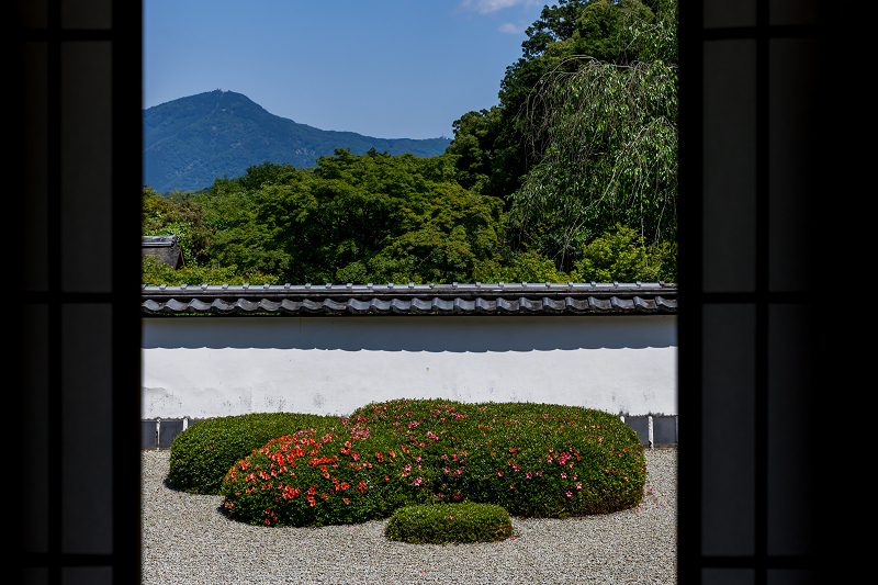 サツキ咲く獅子の児渡しの庭（正伝寺）_f0155048_22175685.jpg