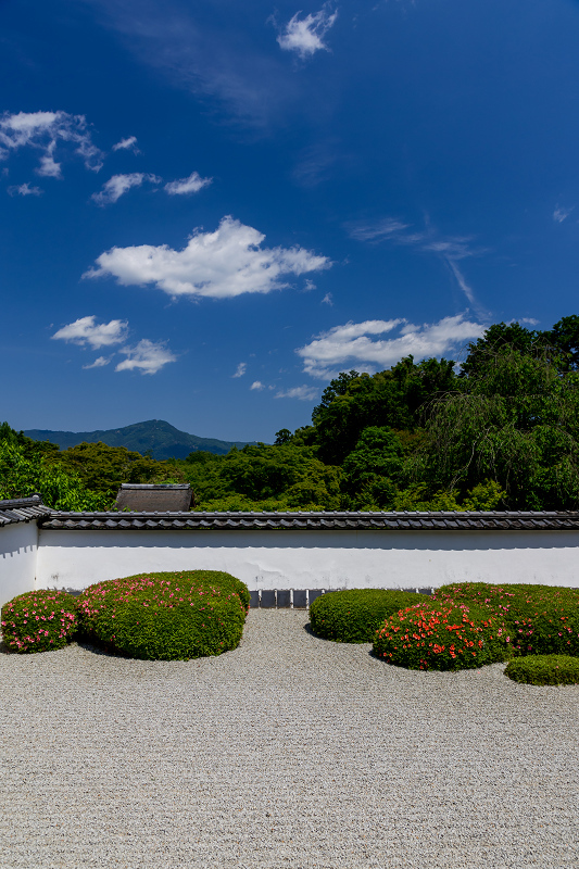サツキ咲く獅子の児渡しの庭（正伝寺）_f0155048_22180910.jpg