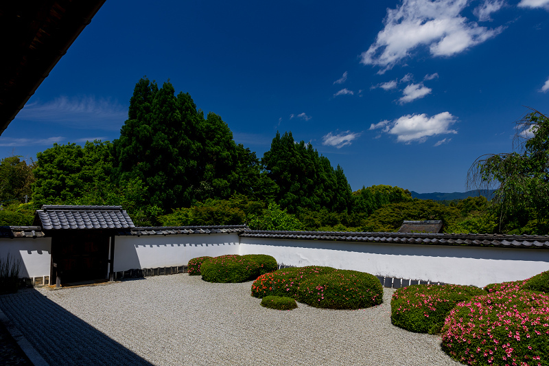 サツキ咲く獅子の児渡しの庭（正伝寺）_f0155048_22181538.jpg