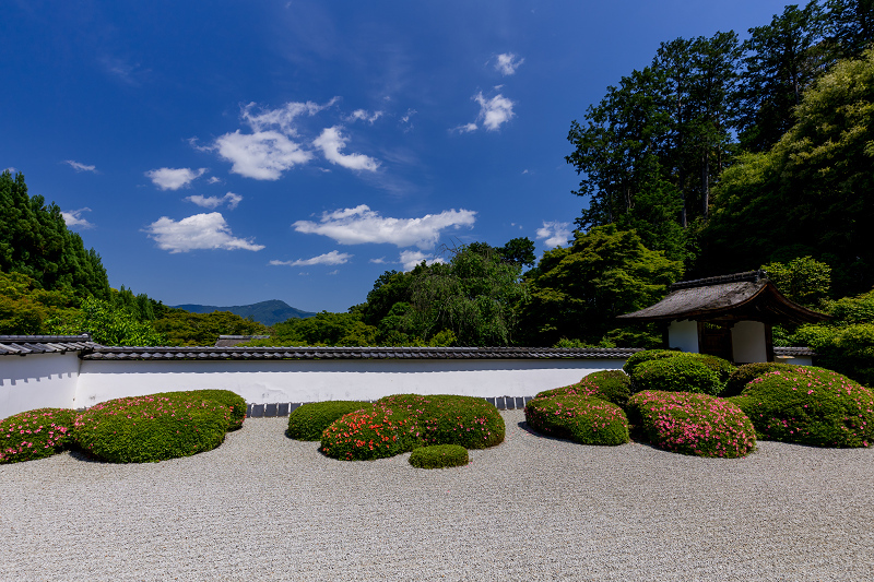 サツキ咲く獅子の児渡しの庭（正伝寺）_f0155048_22183406.jpg