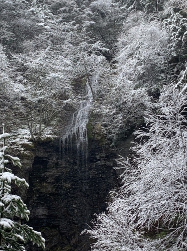 まさかの雪景色ー！！❄️❄️_e0248949_20350886.jpg