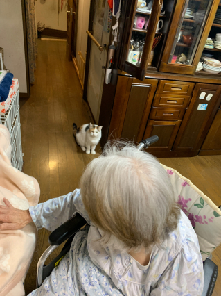 ちょっと前進_a0028451_10442820.jpg
