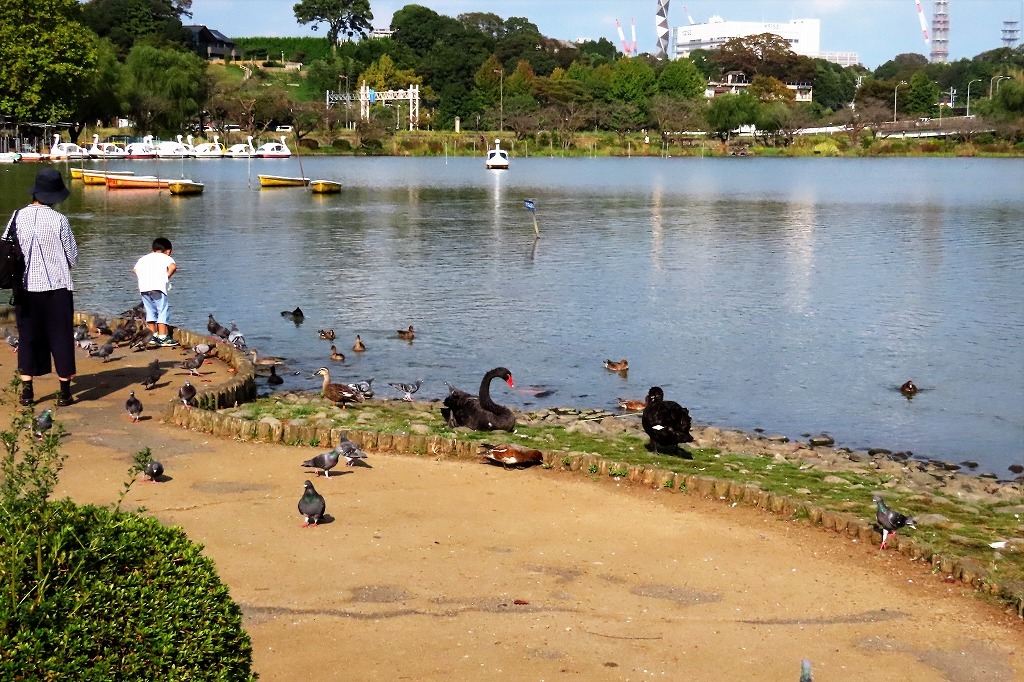水戸の偕楽園公園で散策 最終回です_b0236251_17493452.jpg