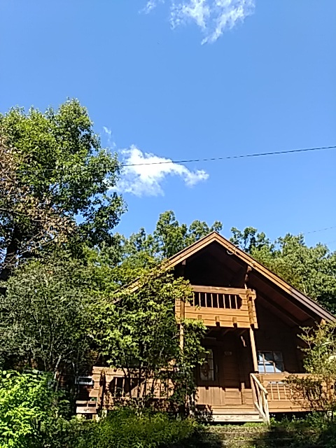 川村忠晴さん 「草木の灯り展」 : WATCH + TOUCH