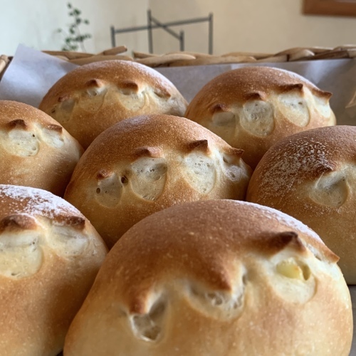 10月20日水曜日のみ特別に 10時30分販売スタートします_a0134394_08342910.jpeg