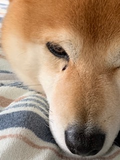 10月21日 木曜日 くもり 6度_f0210811_15081254.jpg