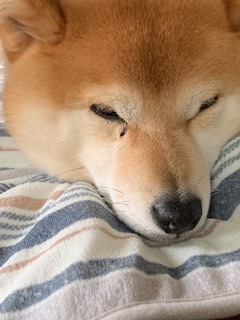 10月21日 木曜日 くもり 6度_f0210811_15082747.jpg